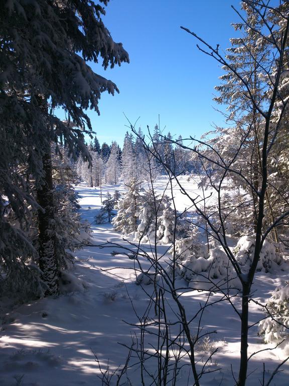Schwarzwald-Chalet Feldberg 펠트베르크 외부 사진