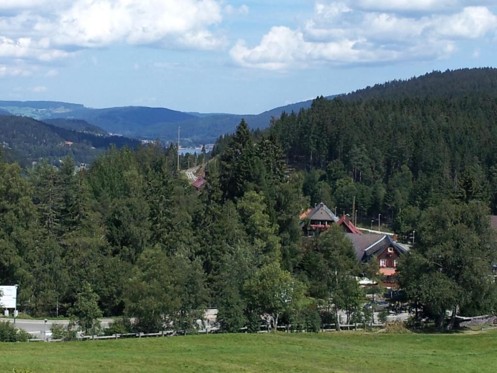 Schwarzwald-Chalet Feldberg 펠트베르크 외부 사진